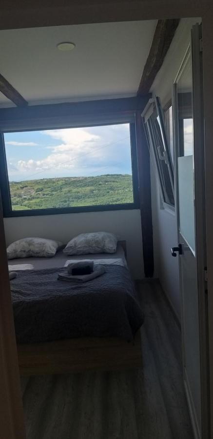 Apartma Matjaz コペル エクステリア 写真